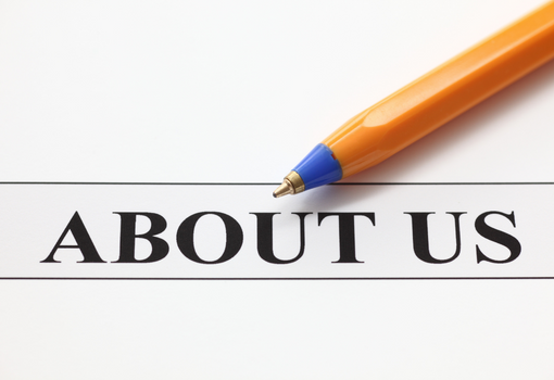 Who is Solution In Solutions